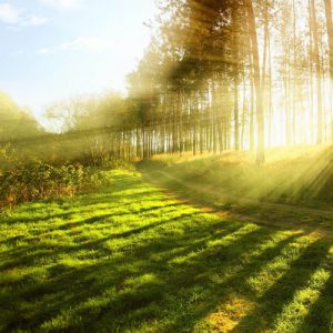 DEATH-NOTICES-missing-photos-2